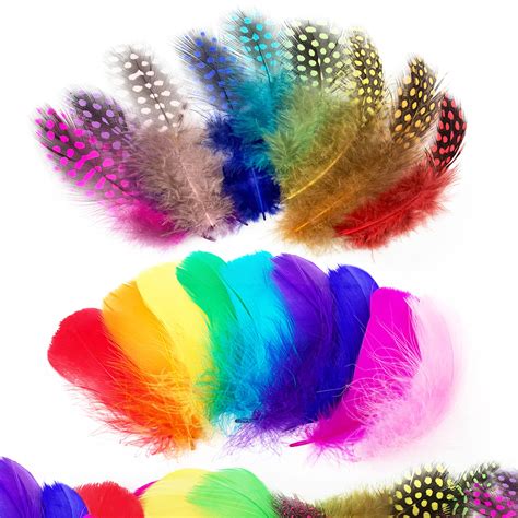Wild Rainbow Feathers betsul